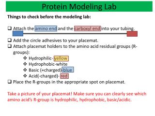 Protein Modeling Lab