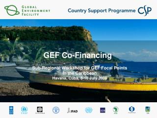 GEF Co-Financing