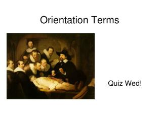 Orientation Terms