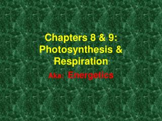 Chapters 8 &amp; 9: Photosynthesis &amp; Respiration