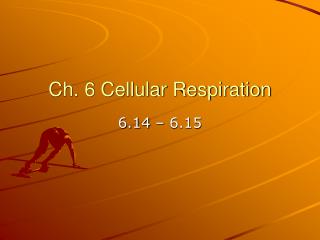 Ch. 6 Cellular Respiration