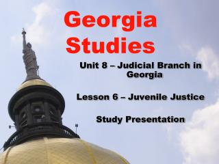 Unit 8 – Judicial Branch in Georgia Lesson 6 – Juvenile Justice Study Presentation