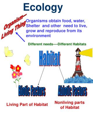 Ecology