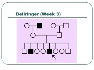 Bellringer (Week 3)