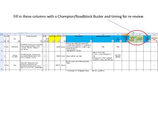 Fill in these columns with a Champion/Roadblock Buster and timing for re-review