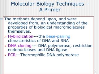 Molecular Biology Techniques – A Primer