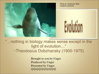 ”…nothing in biology makes sense except in the light of evolution…”