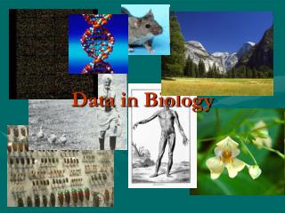 Data in Biology