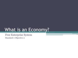 What is an Economy?