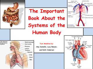 The Important Book About the Systems of the Human Body Text Modified by: