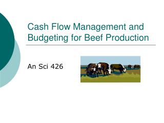 Cash Flow Management and Budgeting for Beef Production