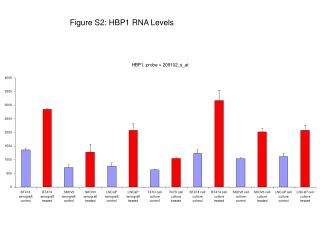 Figure S2: HBP1 RNA Levels