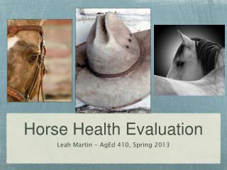 Horse Health Evaluation