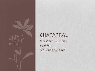 Chaparral