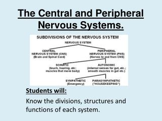 The Central and Peripheral Nervous Systems.
