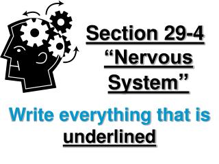 Section 29-4 “Nervous System ”