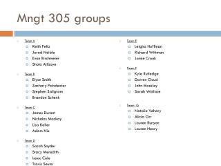 Mngt 305 groups
