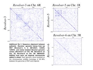 Revolver- 3 on Chr. 6R