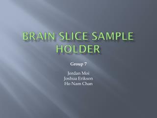 Brain Slice Sample Holder