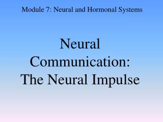 Neural Communication: The Neural Impulse