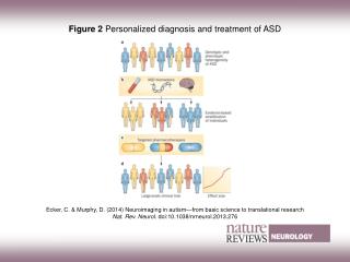 Figure 2 Personalized diagnosis and treatment of ASD
