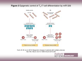 Figure 3 Epigenetic control of T H 17-cell differentiation by miR‑326