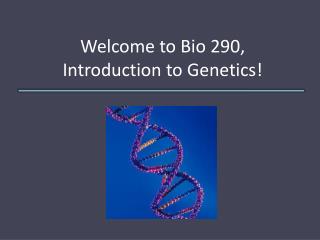 Welcome to Bio 290, Introduction to Genetics!