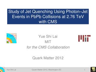 Study of Jet Quenching Using Photon–Jet Events in PbPb Collisions at 2.76 TeV with CMS