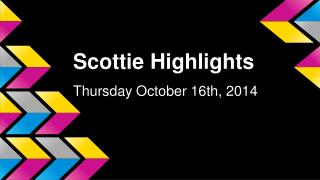 Scottie Highlights