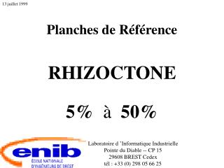 Planches de Référence RHIZOCTONE 5% à 50%