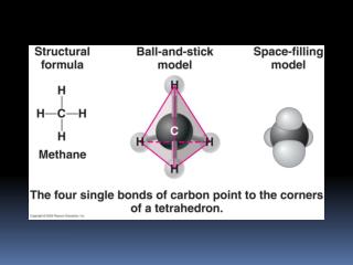 HB BIOCHEM 2014