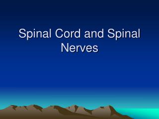 Spinal Cord and Spinal Nerves