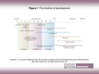 Figure 1 The timeline of development