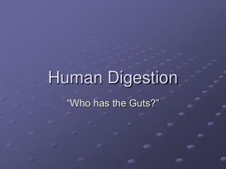 Human Digestion