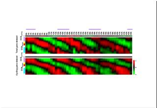 Total gene dataset