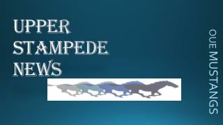 Upper Stampede News