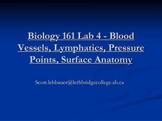 Biology 161 Lab 4 - Blood Vessels, Lymphatics , Pressure Points, Surface Anatomy