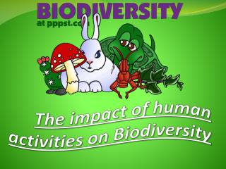 The impact of human activities on Biodiversity