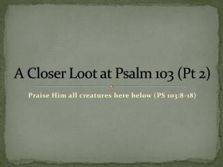 A Closer Loot at Psalm 103 (Pt 2)