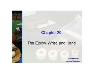 SM Chapter 20 The Elbow Wrist and Hand PP