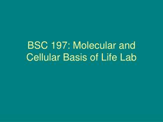 BSC 197: Molecular and Cellular Basis of Life Lab