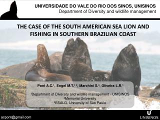 THE CASE OF THE SOUTH AMERICAN SEA LION AND FISHING IN SOUTHERN BRAZILIAN COAST