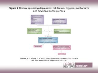 Charles, A. C. &amp; Baca, S. M. (2013) Cortical spreading depression and migraine