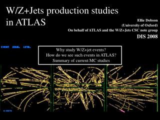 W/Z+Jets production studies in ATLAS