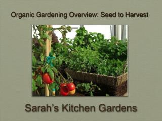 Sarah’s Kitchen Gardens