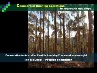 C ommercial thinning operations