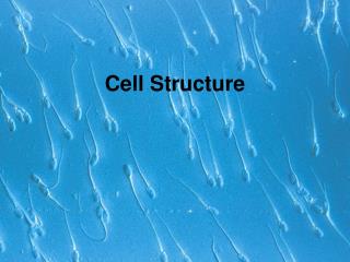 Cell Structure