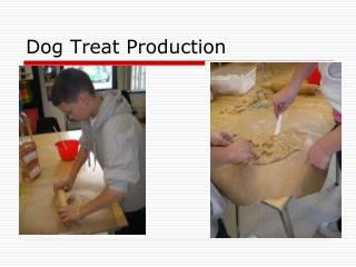 Dog Treat Production