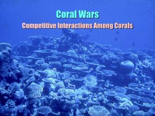 Coral Wars