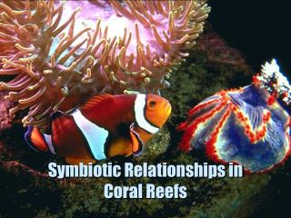 Symbiotic Relationships in Coral Reefs